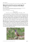 Научная статья на тему 'Варакушка Luscinia svecica и синехвостка Tarsiger cyanurus в Западном Тянь-Шане'