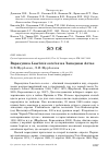 Научная статья на тему 'Варакушка Luscinia svecica на западном Алтае'