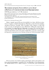 Научная статья на тему 'Весенняя встреча белолобого гуся Anser albifrons в Семипалатинском Прииртышье'