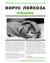 Научная статья на тему 'Вирус лейкоза кошек'