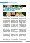 Научная статья на тему 'Влияние основных обработок почвы на урожайность сахарной свеклы в условиях центральной зоны Краснодарского края'