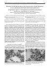 Научная статья на тему 'Влияние полиоксидония на костномозговое кроветворение после двухнедельной интоксикации ванадием и хромом у крыс с экспериментальным воспалением'