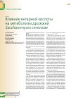 Научная статья на тему 'Влияние янтарной кислоты на метаболизм дрожжей Saccharomyces cerevisiae'