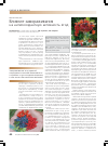 Научная статья на тему 'Влияние замораживания на антиоксидантную активность ягод'