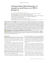 Научная статья на тему 'Voltage-dependent interaction of Capsaicine and protons on TRPV1-Receptors'