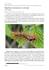 Научная статья на тему 'Воробьи и мохнатые гусеницы'