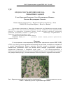 Научная статья на тему 'Вредоносность фитомикозов рода Fusarium на хризантеме садовой'