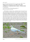 Научная статья на тему 'Встреча белой трясогузки Motacilla alba альбиноса в национальном парке «Себежский»'