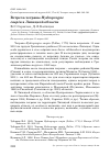 Научная статья на тему 'Встреча чегравы Hydroprogne caspia в Липецкой области'
