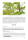Научная статья на тему 'Встреча красного вьюрка Pyrrhospiza punicea в ущелье Средний Талгар (Заилийский Алатау)'