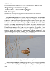 Научная статья на тему 'Встреча красноносого нырка Netta rufina в Санкт-Петербурге'