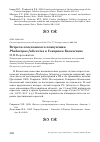 Научная статья на тему 'Встреча плосконосого плавунчика Phalaropus fulicarius в Северном Казахстане'