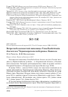 Научная статья на тему 'Встречи белохвостой пигалицы Vanellochettusia leucura на Черноморском побережье Кавказа'
