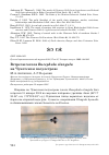 Научная статья на тему 'Встречи гоголя Bucephala clangula на Чукотском полуострове'
