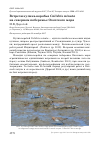Научная статья на тему 'Встречи кулика-воробья Calidris minuta на северном побережье Охотского моря'