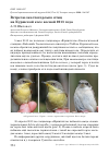 Научная статья на тему 'Встречи «желтогорлых» птиц на Куршской косе весной 2013 года'