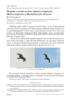 Научная статья на тему 'Второй случай залёта чёрного коршуна Milvus migrans в Магаданскую область'