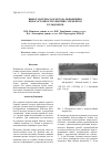 Научная статья на тему 'Выбор материала и метода повышения износостойкости режущих элементов бульдозеров'