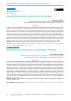 Научная статья на тему 'Wealth distribution in the bitcoin ecosystem'