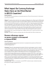 Научная статья на тему 'What Impact Do Currency Exchange Rates Have on the M&A Market in BRICS Countries?'