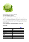 Научная статья на тему 'White cabbage (lat. Brassica)'