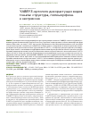 Научная статья на тему 'YABBY3-ортологи дикорастущих видов томата: структура, полиморфизм и экспрессия'