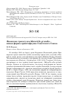 Научная статья на тему 'Японская трясогузка Motacilla grandis – новая форма орнитофауны Советского Союза'