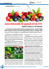 Научная статья на тему 'Заболевания ягодных культур: симптомы и лечение'