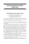 Научная статья на тему 'Закономерности роста тканей у свиней'