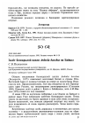 Научная статья на тему 'Залёт белокрылой цапли Ardeola bacchus на Байкал'