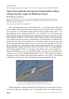 Научная статья на тему 'Залёт большой белой цапли Casmerodius albus в Курчумские горы на Южном Алтае'