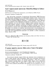 Научная статья на тему 'Залёт черноголовой трясогузки Motacilla feldegg на Байкал'