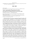 Научная статья на тему 'Залёт каравайки Plegadis falcinellus на Алаколь-Сасыккольскую систему озёр'