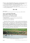 Научная статья на тему 'Залёт каравайки Plegadis falcinellus в Чуйскую долину'