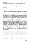 Научная статья на тему 'Залёт маскированной трясогузки Motacilla (alba) personata в Новосибирскую область'