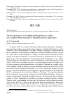 Научная статья на тему 'Залёт рыжего колибри Selasphorus rufus на остров Ратманова в Беринговом проливе'