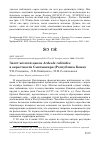 Научная статья на тему 'Залёт жёлтой цапли Ardeola ralloides в окрестности Сыктывкара (Республика Коми)'