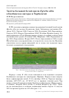 Научная статья на тему 'Залёты большой белой цапли Egretta alba в Калбинское нагорье и Тарбагатай'