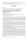Научная статья на тему 'Залёты кедровки Nucifraga caryocatactes в Зайсанскую котловину и предгорья Западного Алтая'