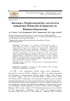 Научная статья на тему 'Заметки о Pseuderemostachys sewerzovii и новый вид Phlomoides (Lamiaceae) из Южного Казахстана'