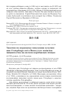 Научная статья на тему 'Заметки по кормовому поведению кукушек ани Crotophaga ani в Венесуэле: попытки хищничества на мелких воробьиных птицах'