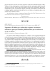 Научная статья на тему 'ЗАРЯНКА ERITHACUS RUBECULA КОРМИТ ПТЕНЦОВ ПЕВЧЕГО ДРОЗДА TURDUS PHILOMELOS ДО ИХ ВЫЛЕТА'