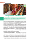 Научная статья на тему 'Защищенный жир в кормлении птицы'