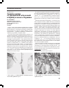Научная статья на тему 'Защита груши от вредителей и болезней в Крыму и на юге Украины'