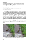 Научная статья на тему 'Зелёный дятел Picus viridis в Новоржевском районе Псковской области'