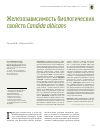 Научная статья на тему 'Железозависимость биологических свойств Сandida albicans'