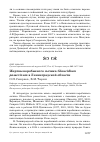 Научная статья на тему 'Жертвы воробьиного сычика Glaucidium passerinum в Ленинградской области'