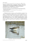 Научная статья на тему 'Зимнее наблюдение черныша Tringa ochropus, охотящегося за рыбой на Чуйском канале'