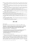 Научная статья на тему 'Зимние встречи красноголовой чернети Aythya ferina на водоёмах Восточного Казахстана'