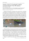 Научная статья на тему 'Зимние встречи лутка Mergellus albellus на Южной окраине Санкт-Петербурга'